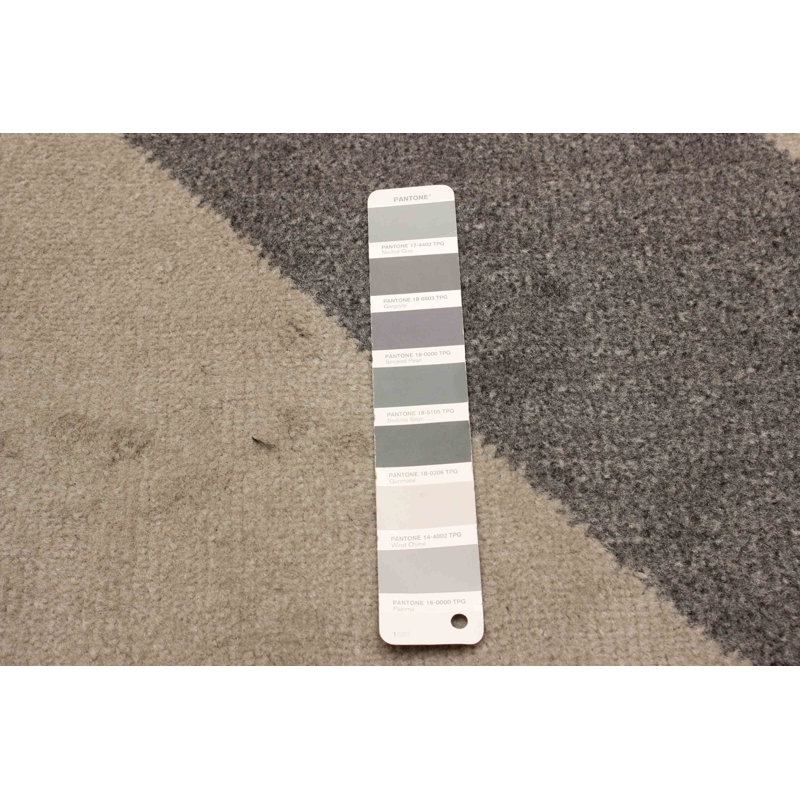 Damarie Gray Rug, Rectangle 5' x 8'