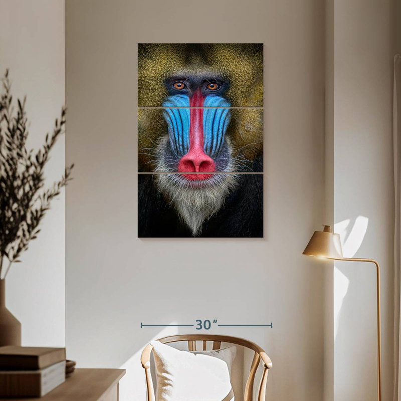 Mandrill Monkey, 57" H x 36" W