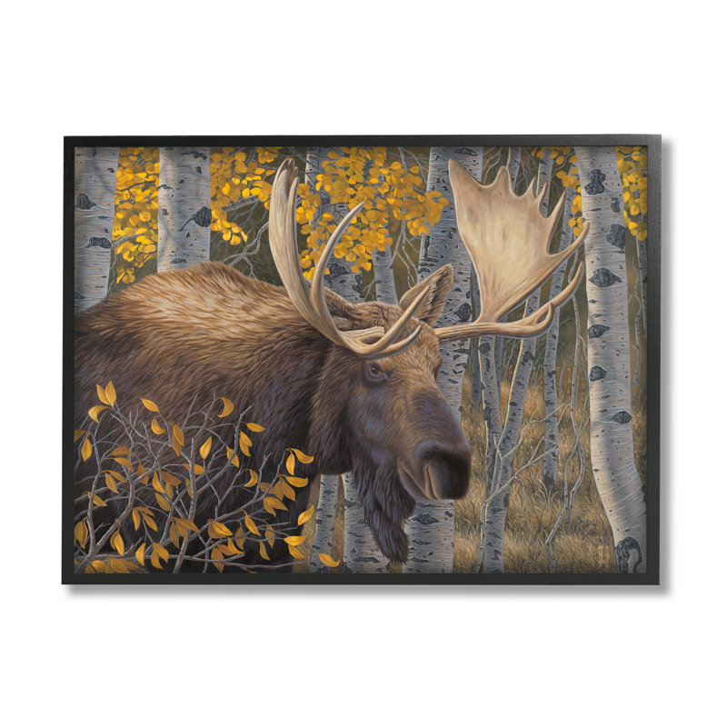 «Moose In Fall Foliage» par Jeff Hoff, Giclée encadrée noir minuit, H 11 po x l 14 po x P 1,5 po