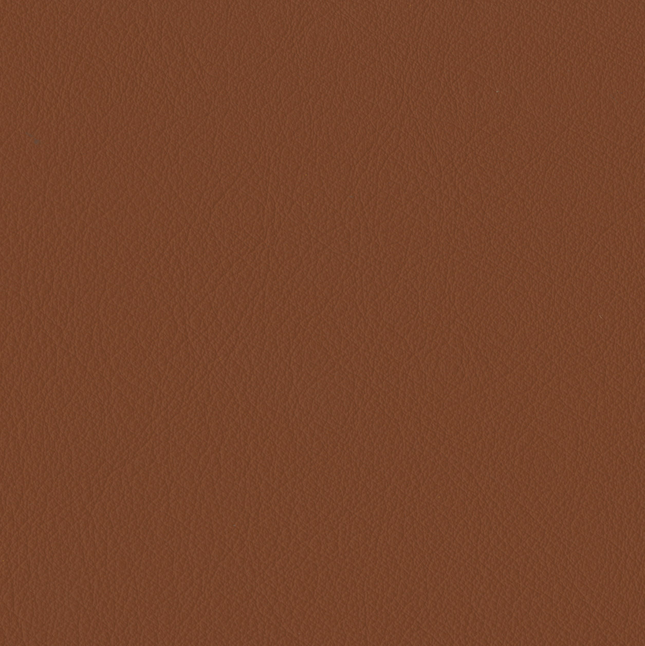 Elan Saddle Sample