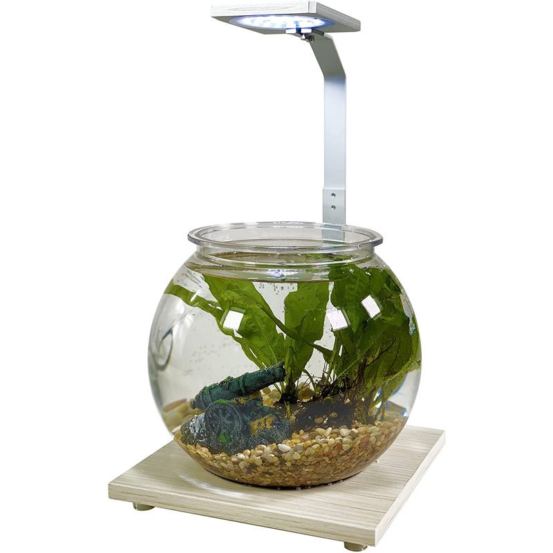  1.1 Gallons Round Fish Bowl