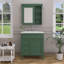 Meuble-lavabo simple 30 po avec plateau en résine et armoire à pharmacie Shaneca-1197069230