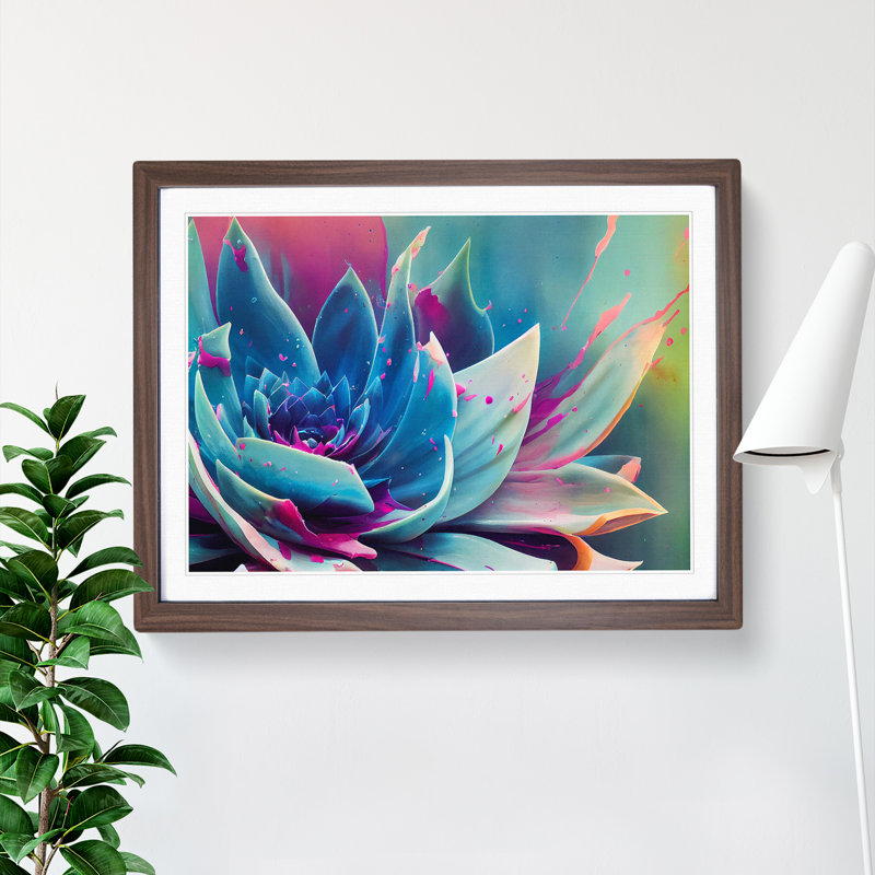 Succulent Plant Paint Splash Abstract - Single Picture Frame Print, Walnut, 25cm H x 34cm W x 2cm D