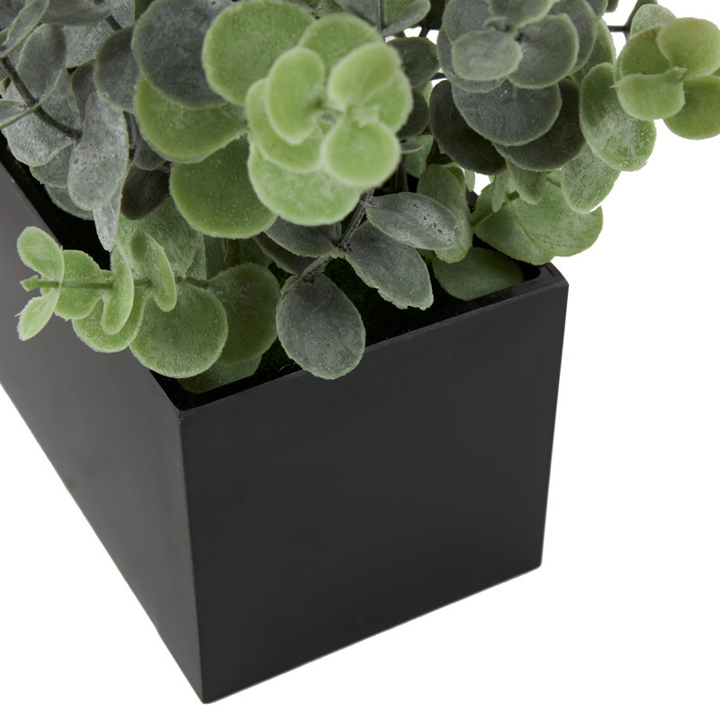 Baty 9,4 po plante d'eucalyptus en pot en céramique