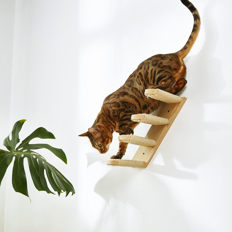 Ensemble d'escaliers muraux pour chat, échelle pour chat en bois de pin avec corde en sisal, tablettes d'escalade peu encombrantes pour chats