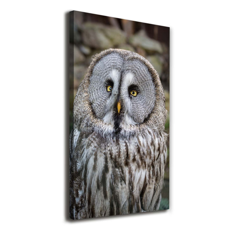 Owl 1 Piece Wrapped Canvas Wall Art