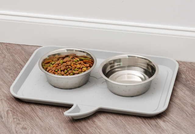 Pet Bowls You'll Love