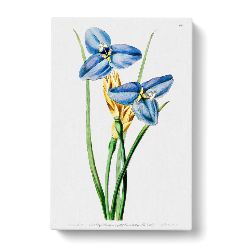 Blue Iris Flowers - Wrapped Canvas Painting Print, 60cm H x 40cm W x 3cm D