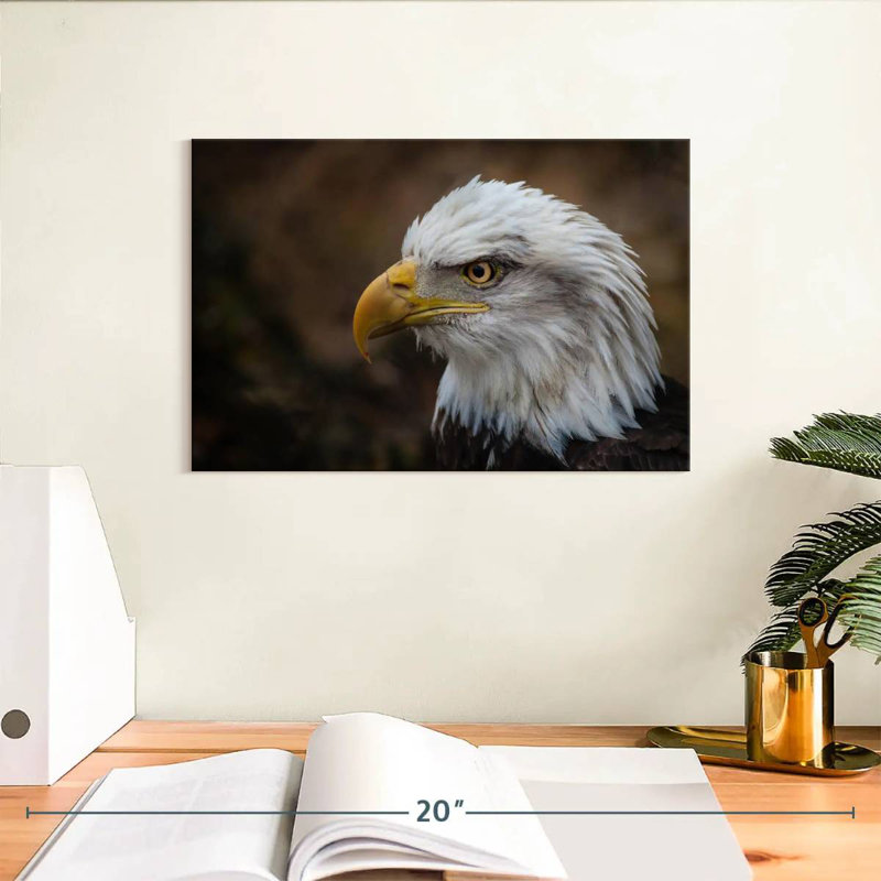 Brampt Bald Eagle Gaze, 8" H x 12" W