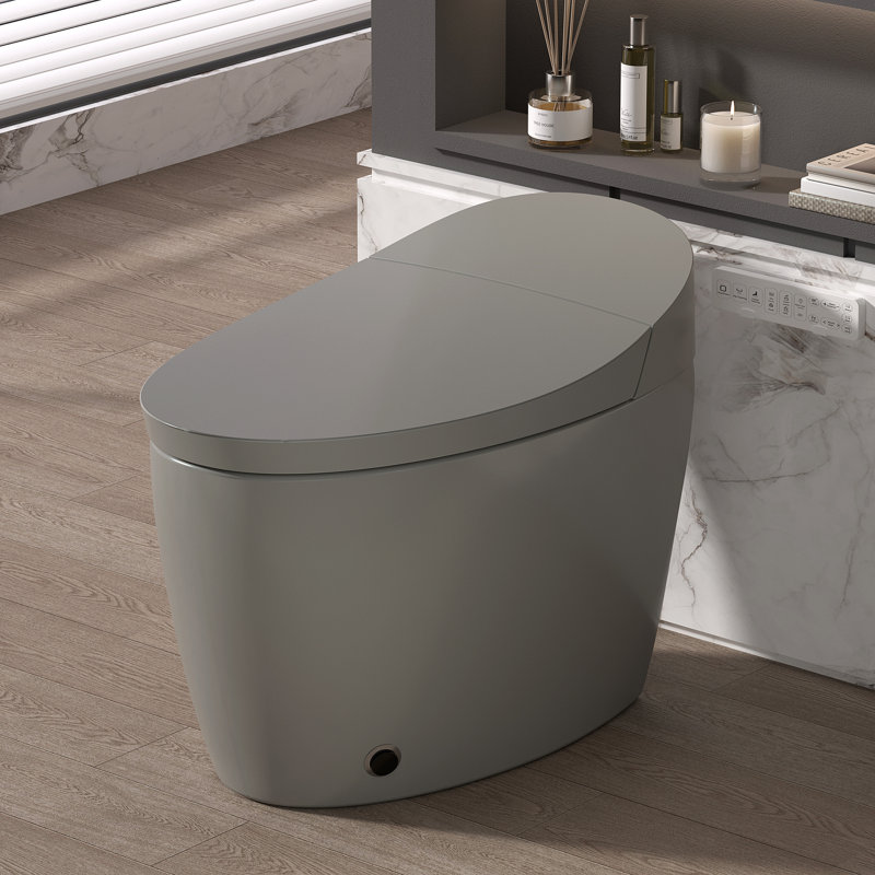 Toilettes à bidet automatique, porcelaine grise brute de 12 pouces, maison compacte moderne