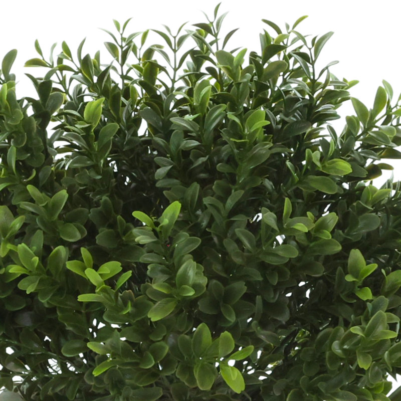 Outdoor UV-Rated Boxwood in Fiberstone Pot