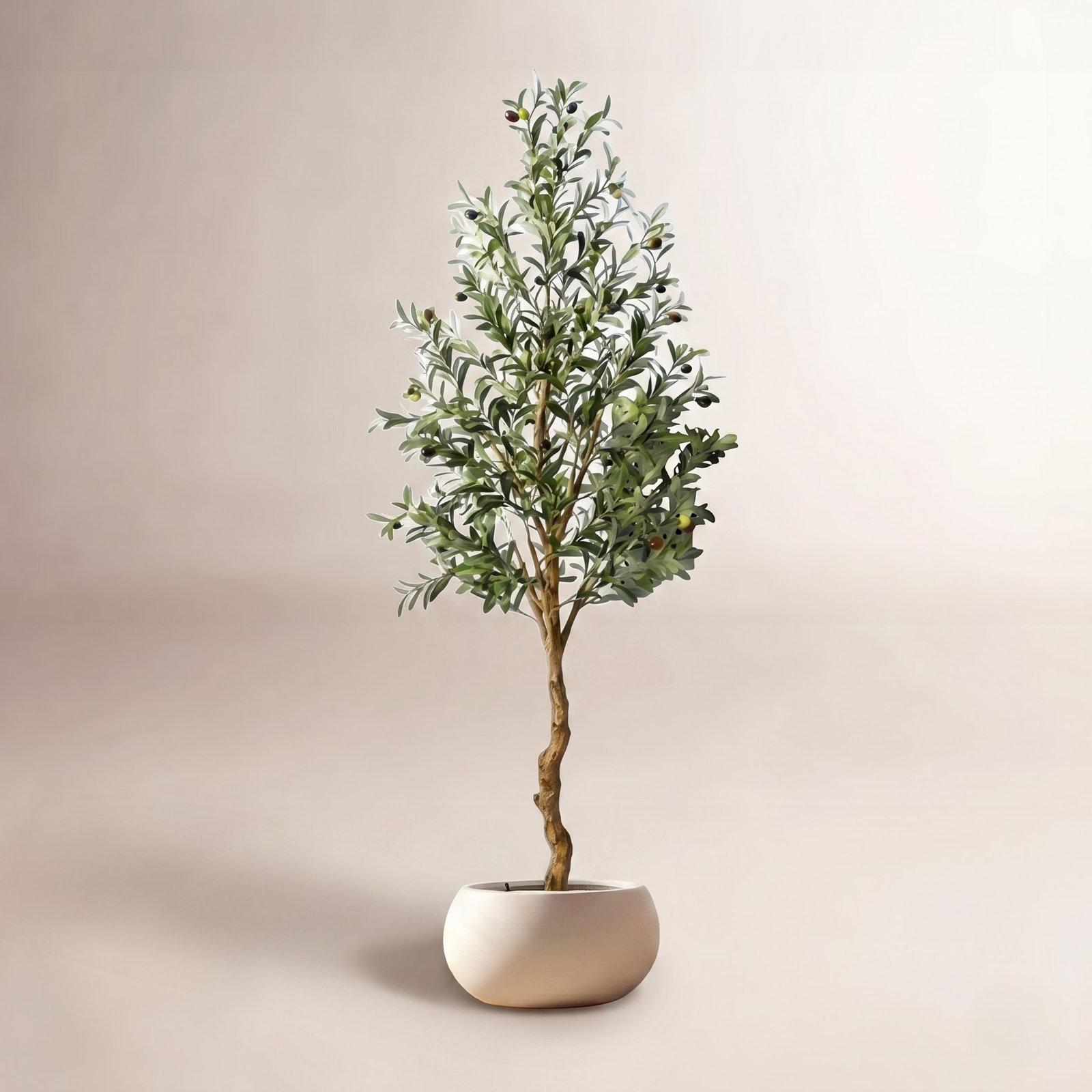 Olive Tree in Basket, 84" H x 7.2" W