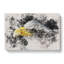 Bald Eagle Vol.1 - Wrapped Canvas Print-61886413