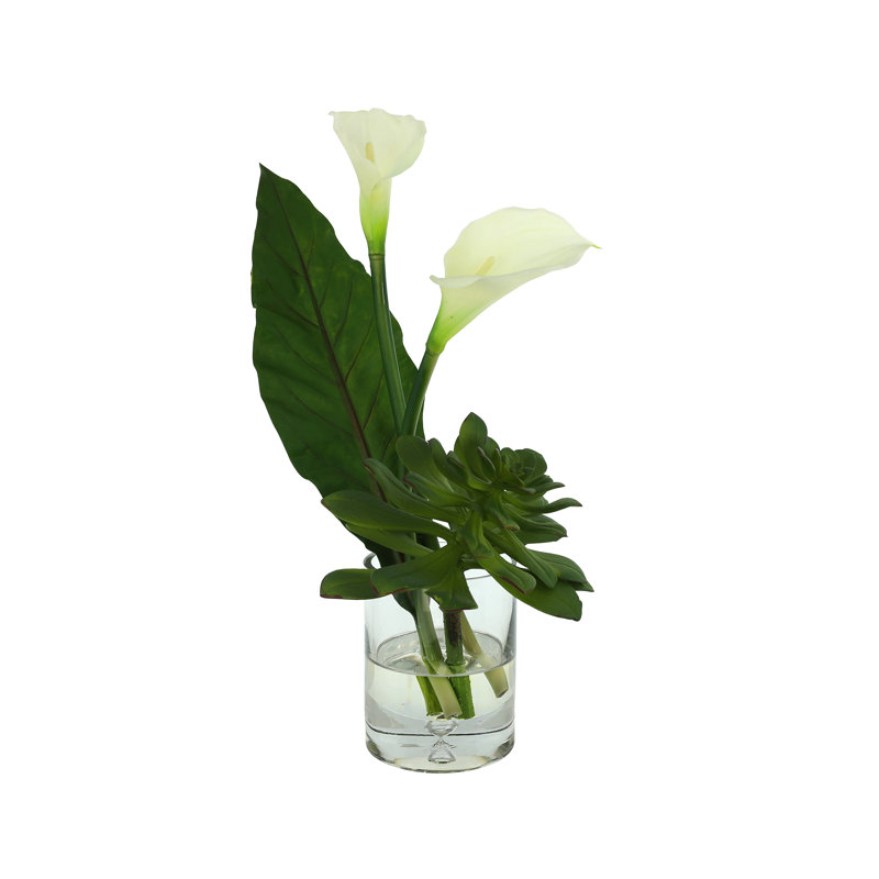 Succulent and Calla Lilies Arranged in Glass Vase