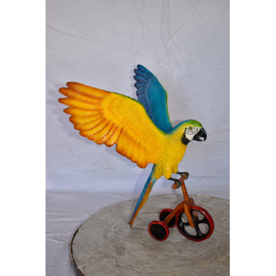 Ewel Colorful Parrot Riding a Tricycle Statue