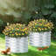 Lit de jardin surélevé en métal 16,7 po Muffin-123139744
