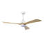 Ventilateur de plafond 52 po avec lumières-903751153-903751166