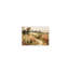 Art mural sur toile nature botanique sans cadre 24 po x 20 po