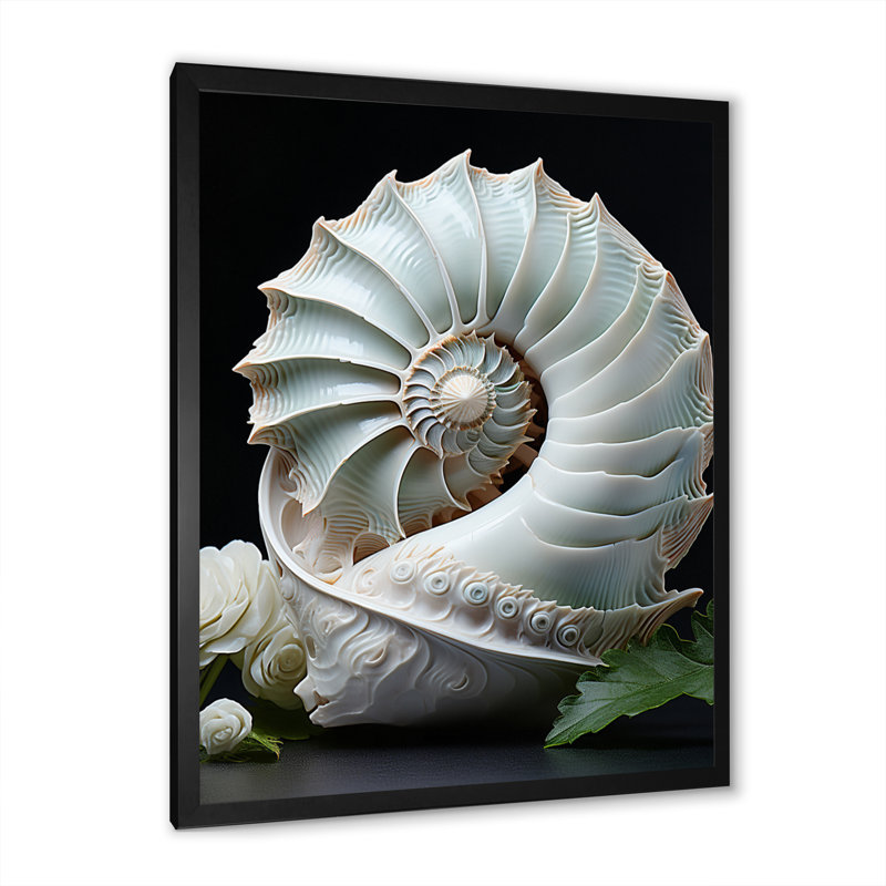 Animal Nautilus Sheels - Décoration murale animaux, H 44 po x l 34 po x P 1,5 po, Toile noire à cadre unique