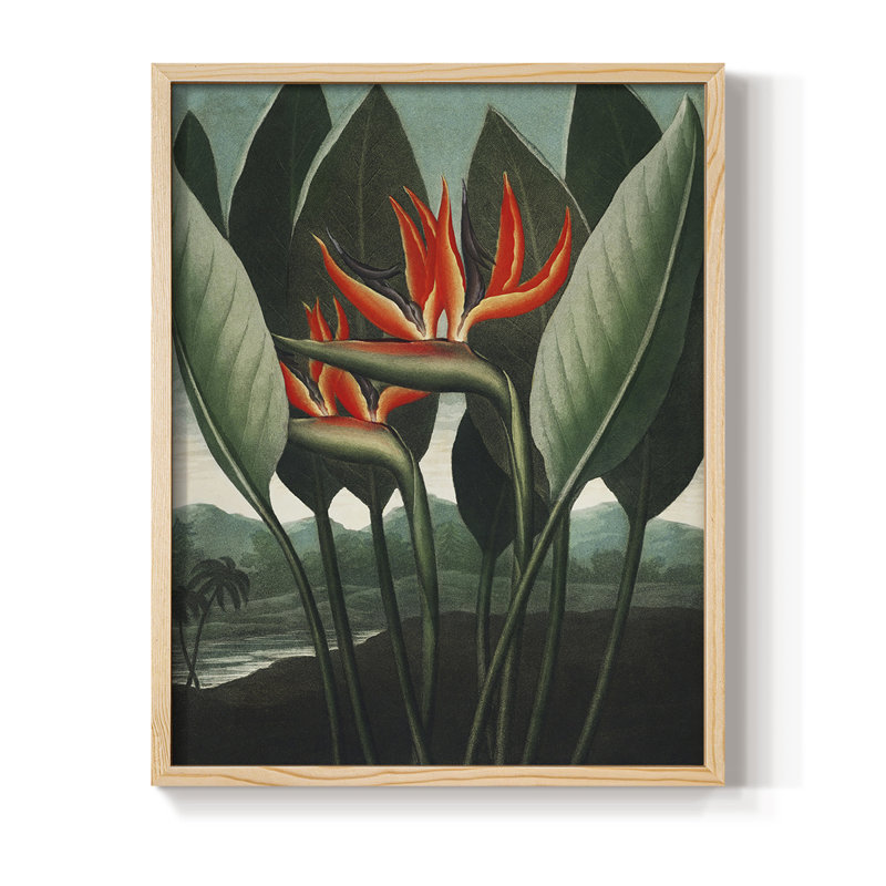 Temple of Flora IV Framed Print - Solid Wood, 11" H x 9" W