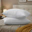 Ensemble de 2 coussins matelassés en plumes d'oie grises Biscuit-124399558