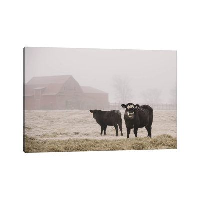 Farm Study III by Adam Mead - Wrapped Canvas Print
