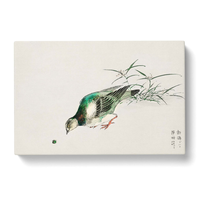 Eastern Turtle Dove by Numata Kashu - Wrapped Canvas Painting, 40cm H x 60cm W x 3cm D