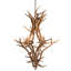 Antlers 8 - Light Chandelier