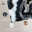 Toile de cendres auréates -542722449-542722478