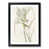 Black Framed selected