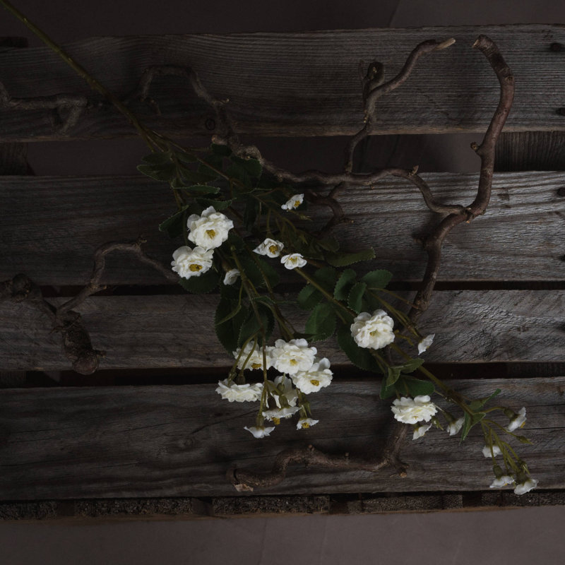 Arrangement, White