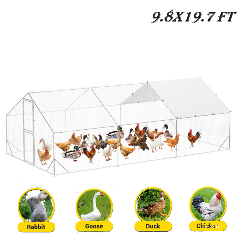 Walk In Chicken Run For Up To 10 Chickens, 200cm H x 299.7cm W x 600cm D