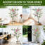 152cm Plant