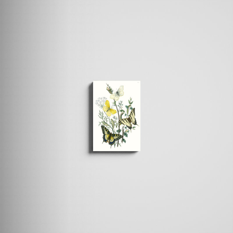 «British Butterflies II», peinture sur toile, H 18 po x l 12 po