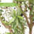 Artificial Olive Tree with Planter Natural Olive Branches