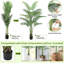 183cm Plant