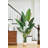 83'' Faux Banana Tree in Pot
