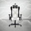 Fauteuil de jeu Techni Sport RTA-TS68C-WHT-249711512