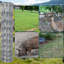 Clôture en fil de fer galvanisé, clôture de ferme de bovins, clôtures pour chevreuils, clôtures en zinc pour chèvre-121161626