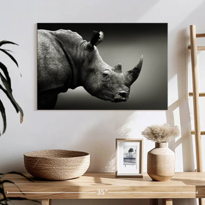 Rhinocéros noir et blanc