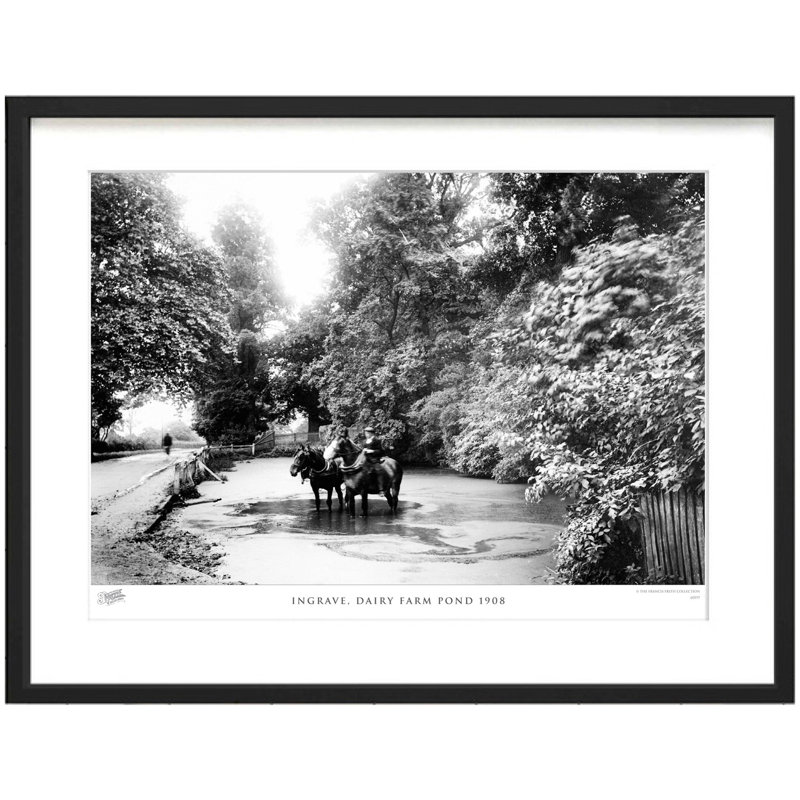 Ingrave, Dairy Farm Pond 1908 by Francis Frith - Single Picture Frame Print, 45cm H x 60cm W x 2.3cm D