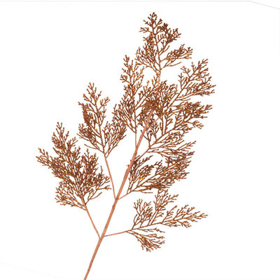 70cm Fern Branch