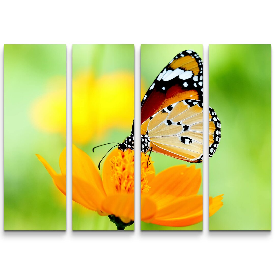 4-tlg. Leinwandbilder-Set Schmetterling auf einer Blume