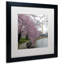Washington Blossoms Framed Photographic Print-40361389-17770486