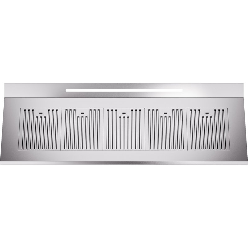 ILVE Professional Plus II 60 in Range Hood