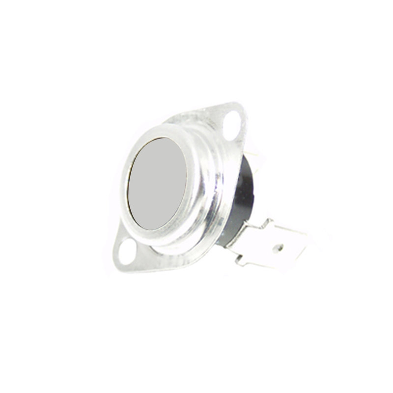 Whole Parts Thermostat