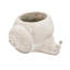 8.3X7X4.7" Decorative Sand And Cement Snail Planter With Textured Beige Finish