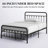 Hidalgo Metal Platform Bed-118303750-118303756