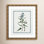 Colombe "Shabby Elegance Botanical I" Print