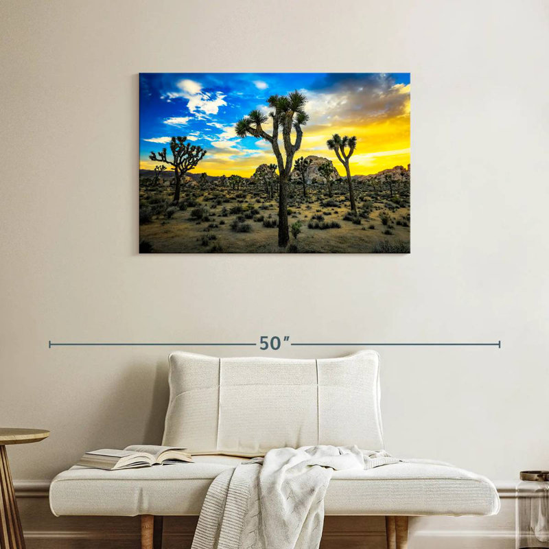 Nicci Joshua Tree Park Desert Vegetation